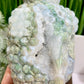 Moss Agate Buddha Druzy Crystal 1320g