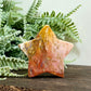 Ocean Sea Jasper Star Self Standing Crystal Carving 69g