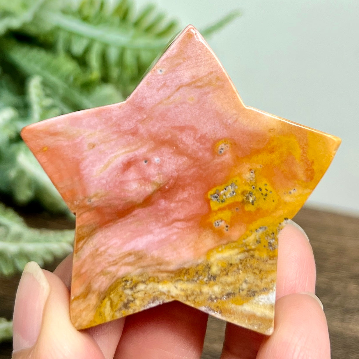 Ocean Sea Jasper Star Self Standing Crystal Carving 69g