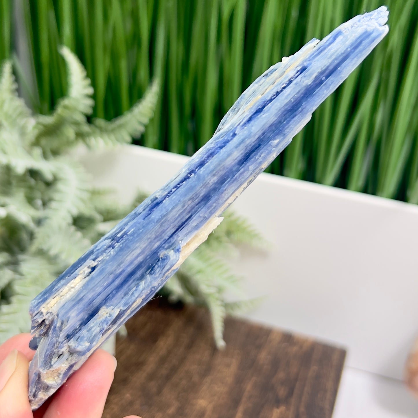 Blue Kyanite with Mica Natural High Quality Raw Specimen Healing Crystal 116g