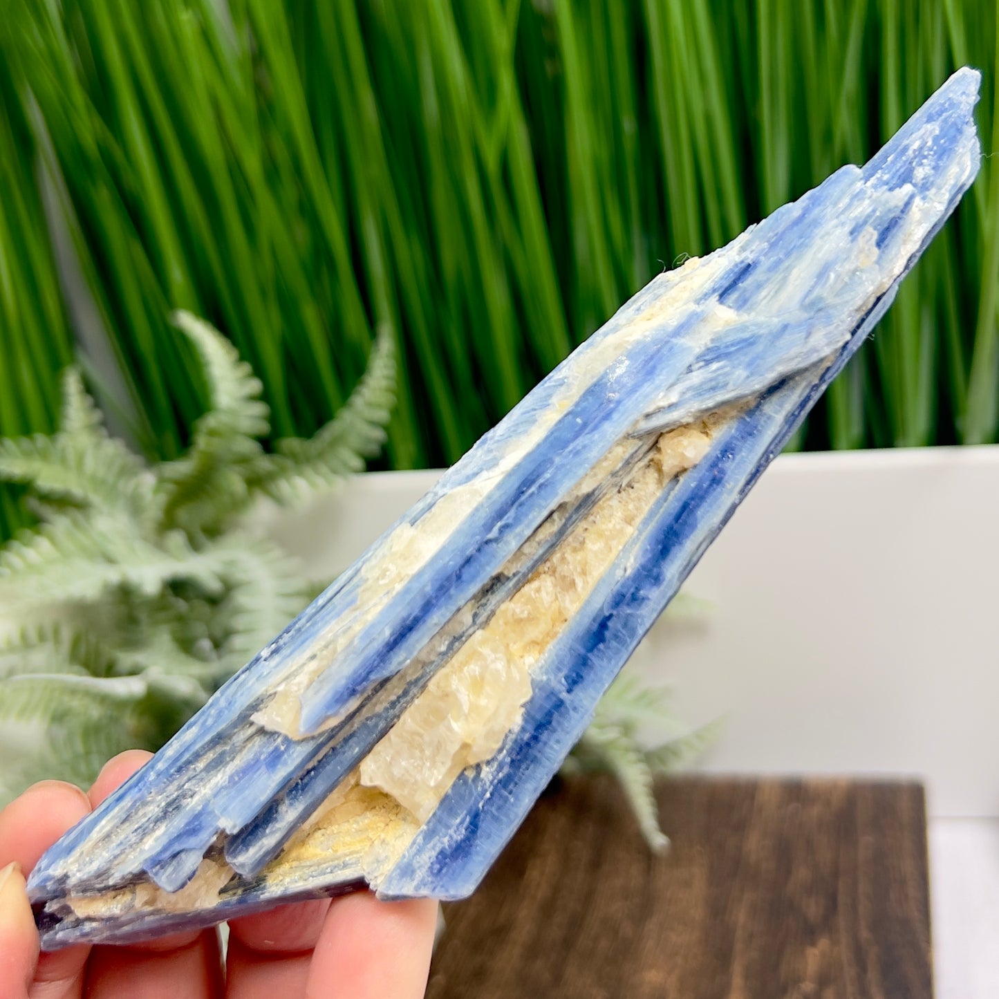 Blue Kyanite with Mica Natural High Quality Raw Specimen Healing Crystal 116g