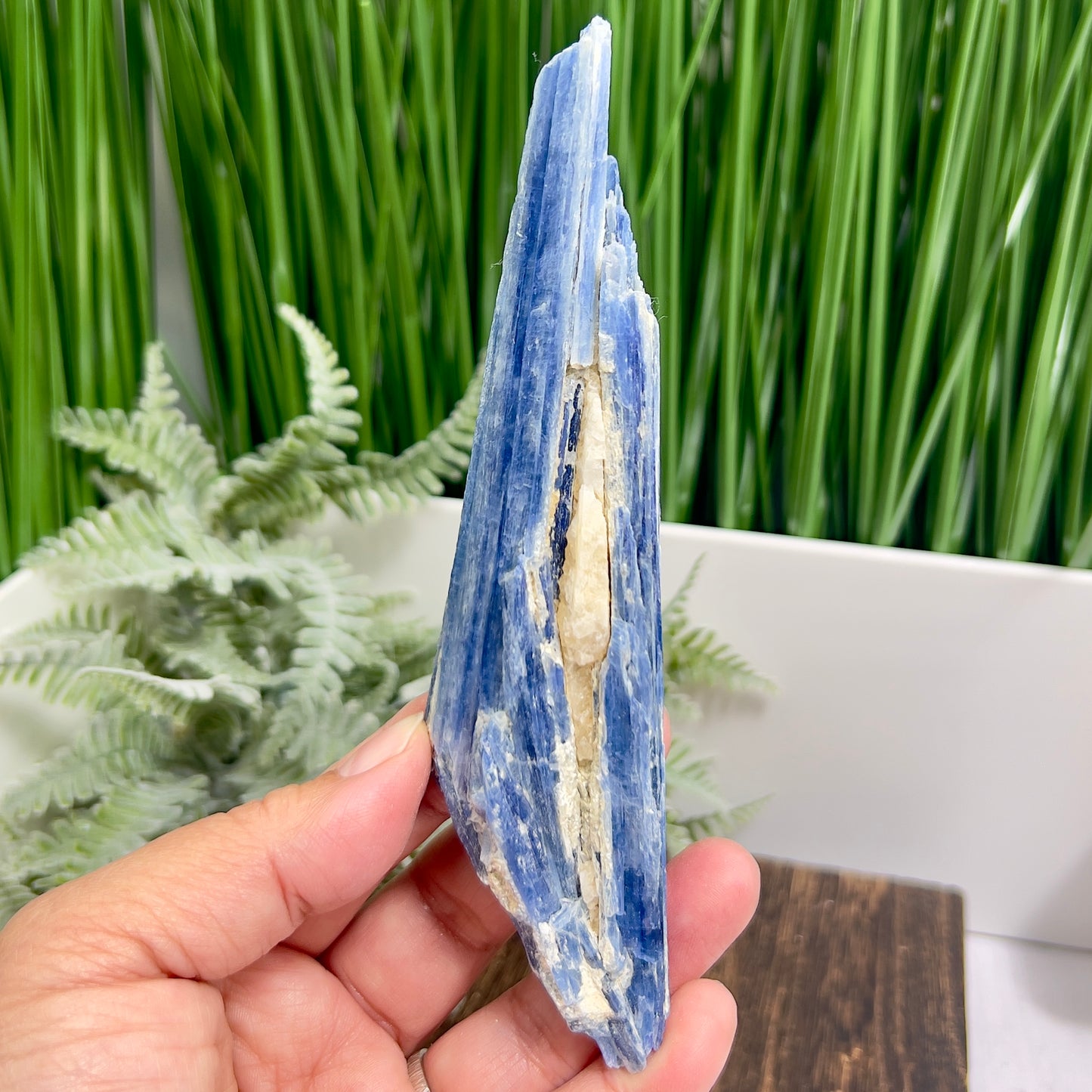 Blue Kyanite with Mica Natural High Quality Raw Specimen Healing Crystal 116g