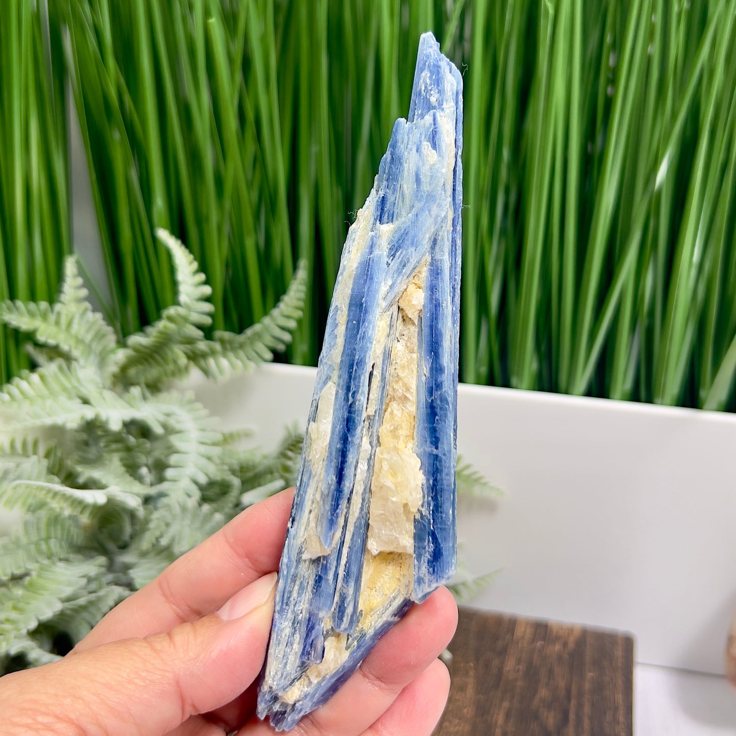 Blue Kyanite with Mica Natural High Quality Raw Specimen Healing Crystal 116g