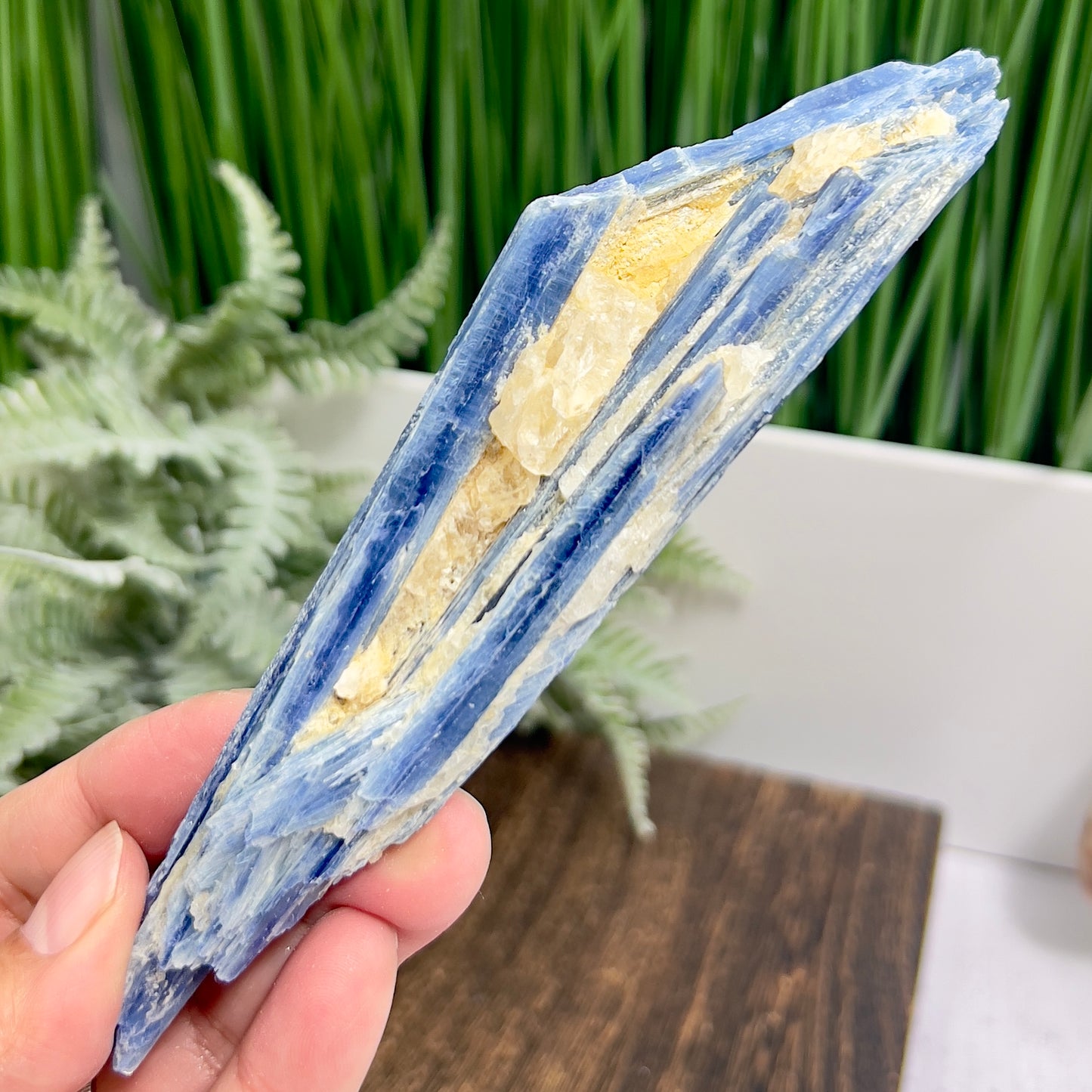 Blue Kyanite with Mica Natural High Quality Raw Specimen Healing Crystal 116g