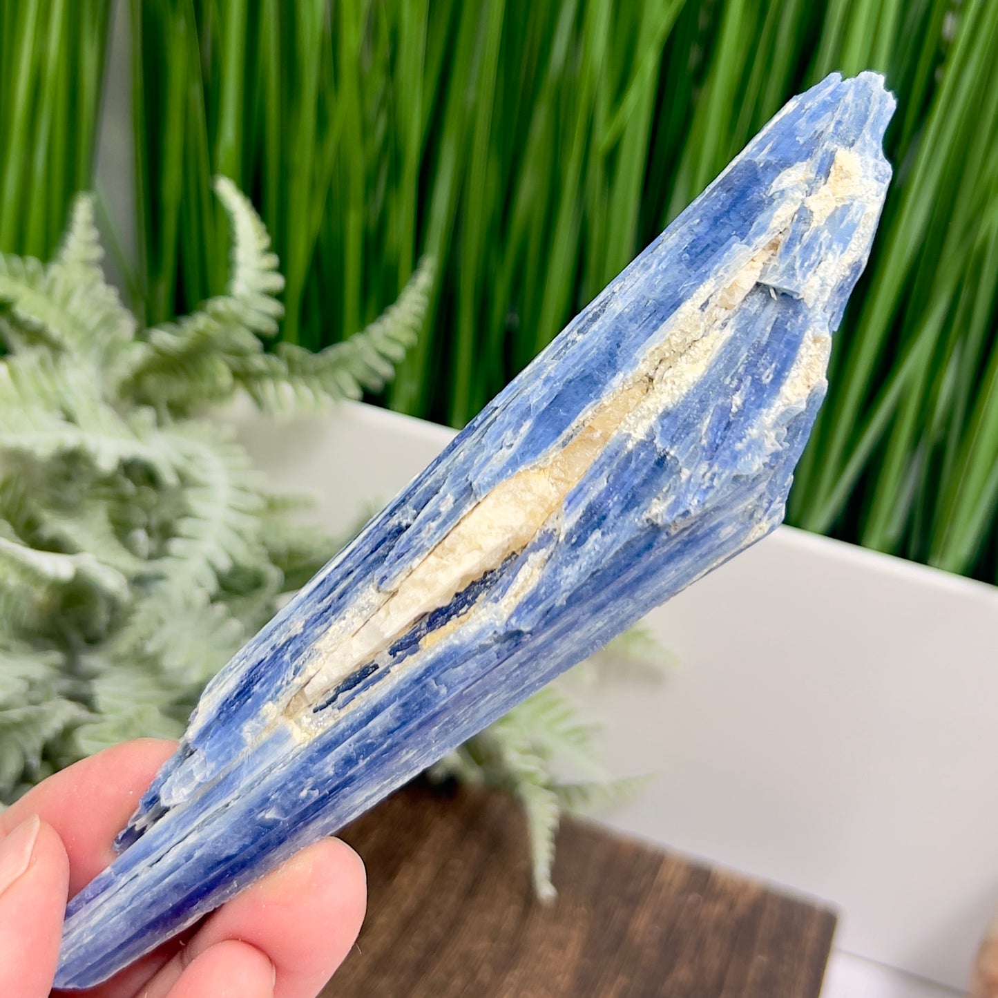 Blue Kyanite with Mica Natural High Quality Raw Specimen Healing Crystal 116g