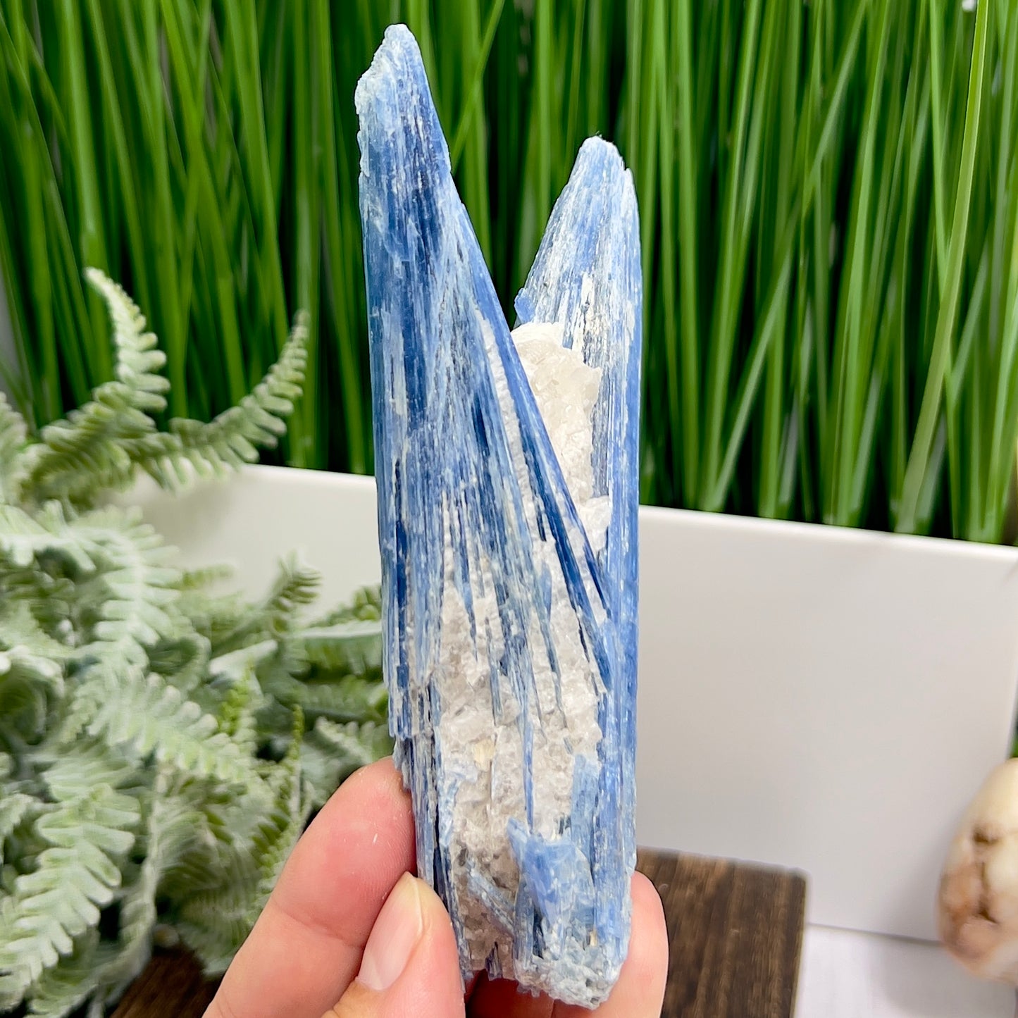 Blue Kyanite with Mica Natural High Quality Raw Specimen Healing Crystal 208g