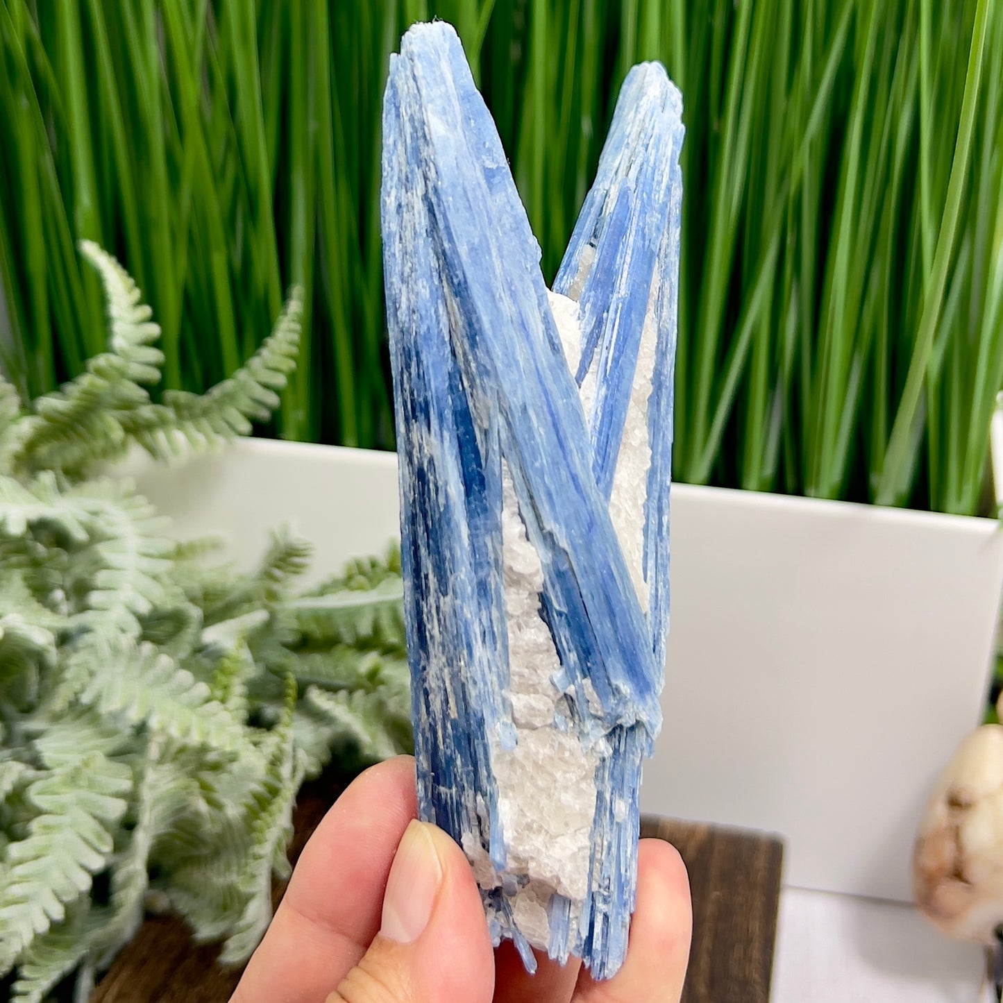 Blue Kyanite with Mica Natural High Quality Raw Specimen Healing Crystal 208g