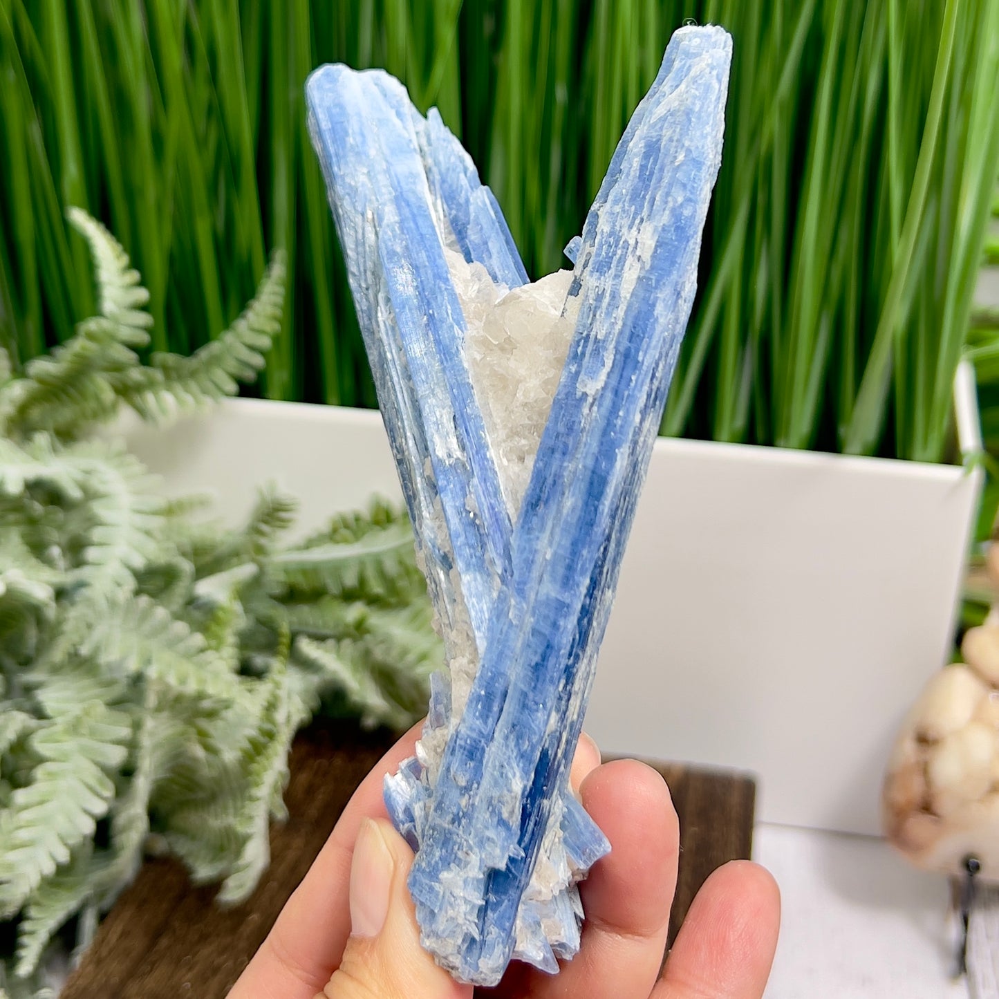 Blue Kyanite with Mica Natural High Quality Raw Specimen Healing Crystal 208g