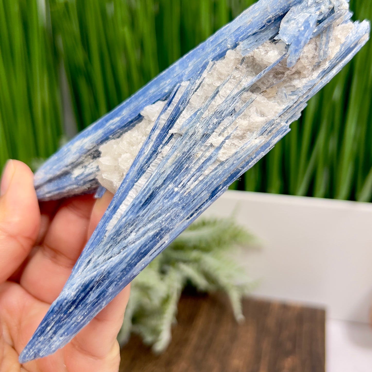 Blue Kyanite with Mica Natural High Quality Raw Specimen Healing Crystal 208g