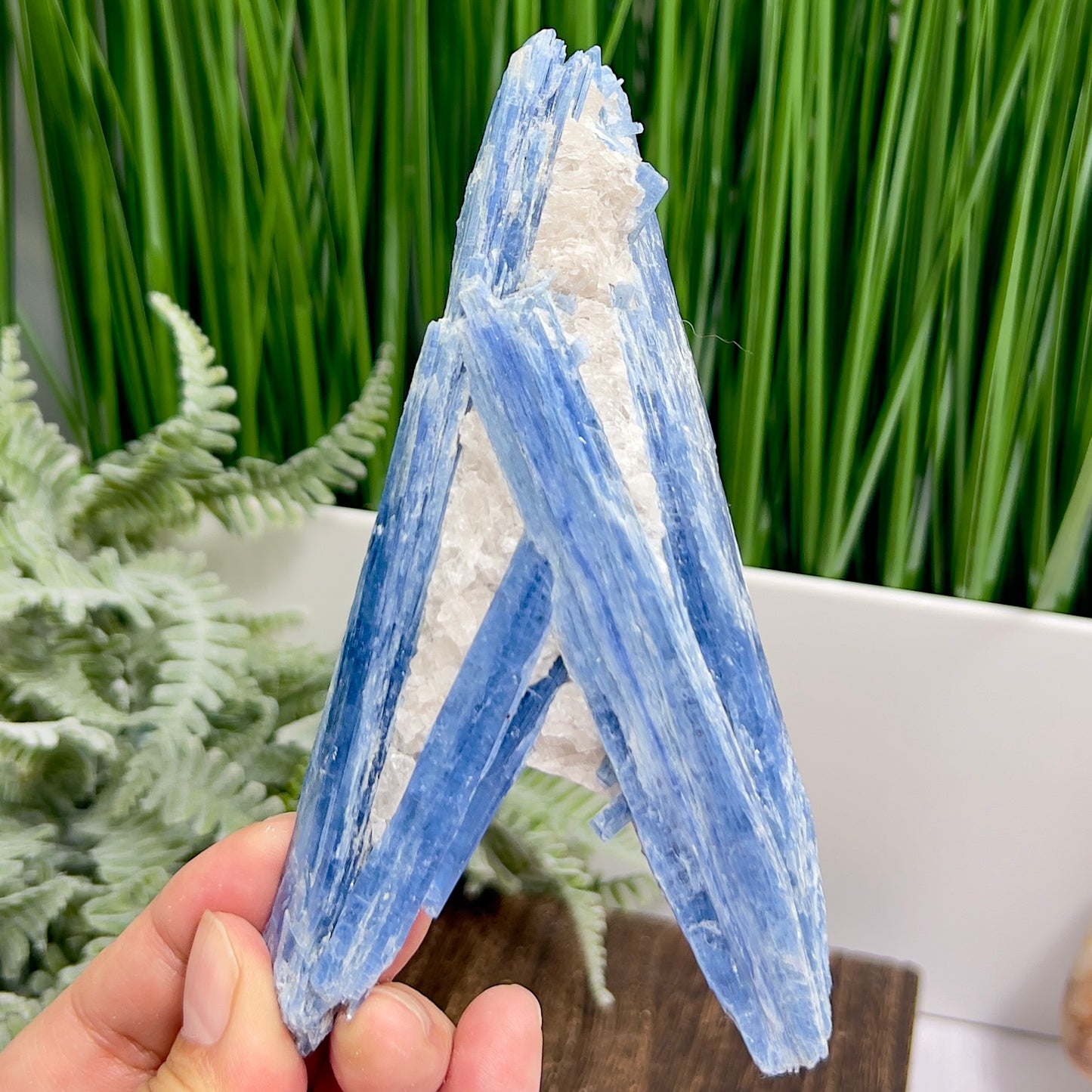 Blue Kyanite with Mica Natural High Quality Raw Specimen Healing Crystal 208g