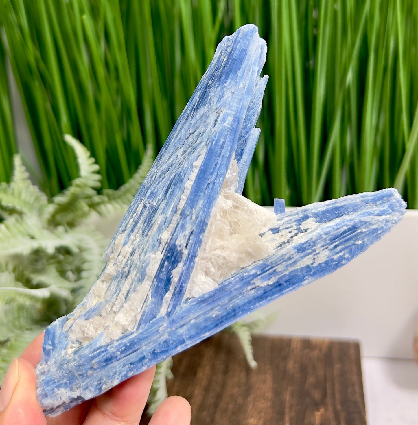 Blue Kyanite with Mica Natural High Quality Raw Specimen Healing Crystal 208g