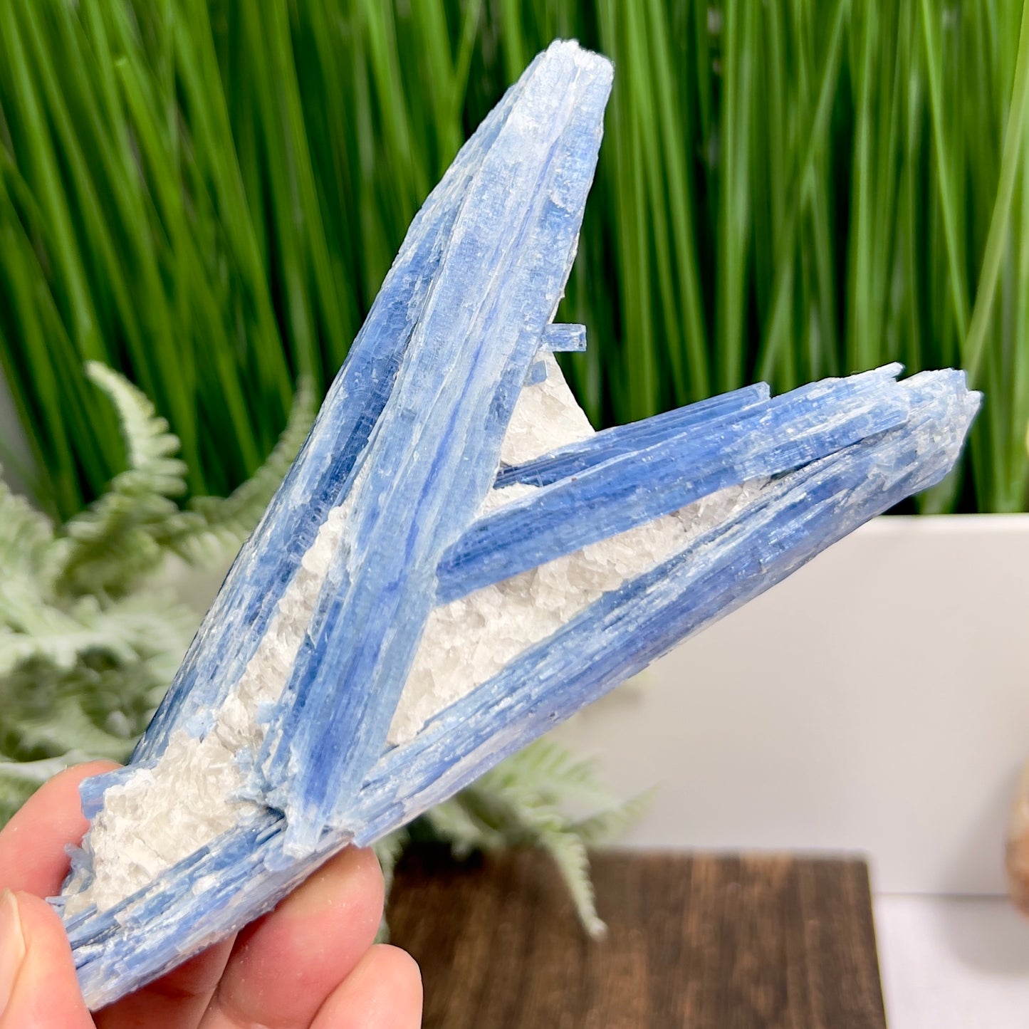 Blue Kyanite with Mica Natural High Quality Raw Specimen Healing Crystal 208g