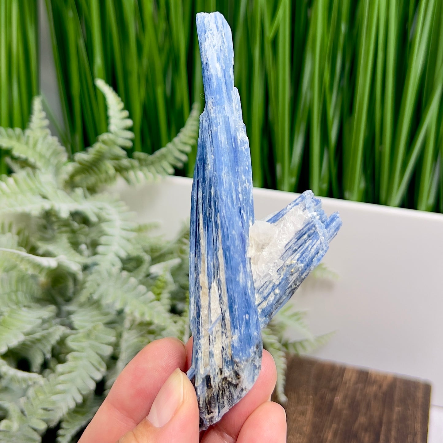 Blue Kyanite with Mica Natural High Quality Raw Specimen Healing Crystal 98g