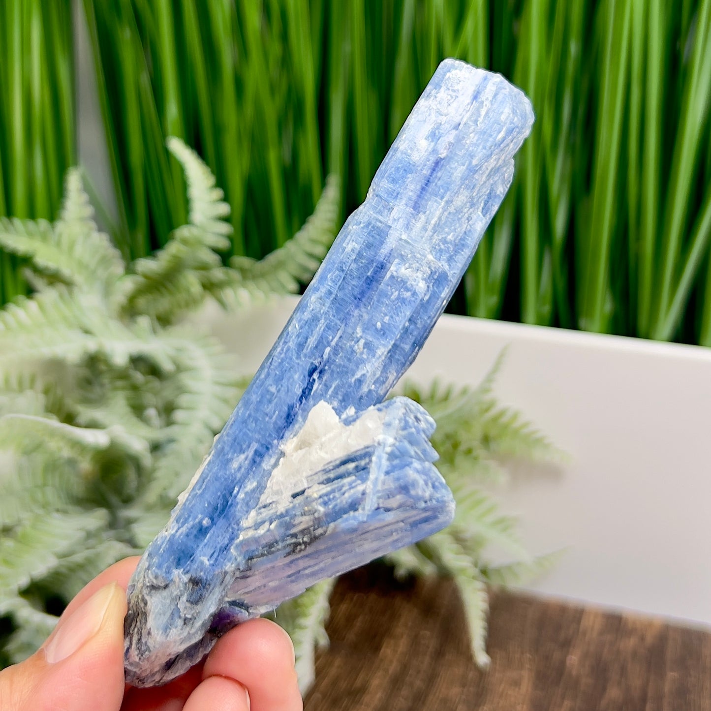 Blue Kyanite with Mica Natural High Quality Raw Specimen Healing Crystal 98g