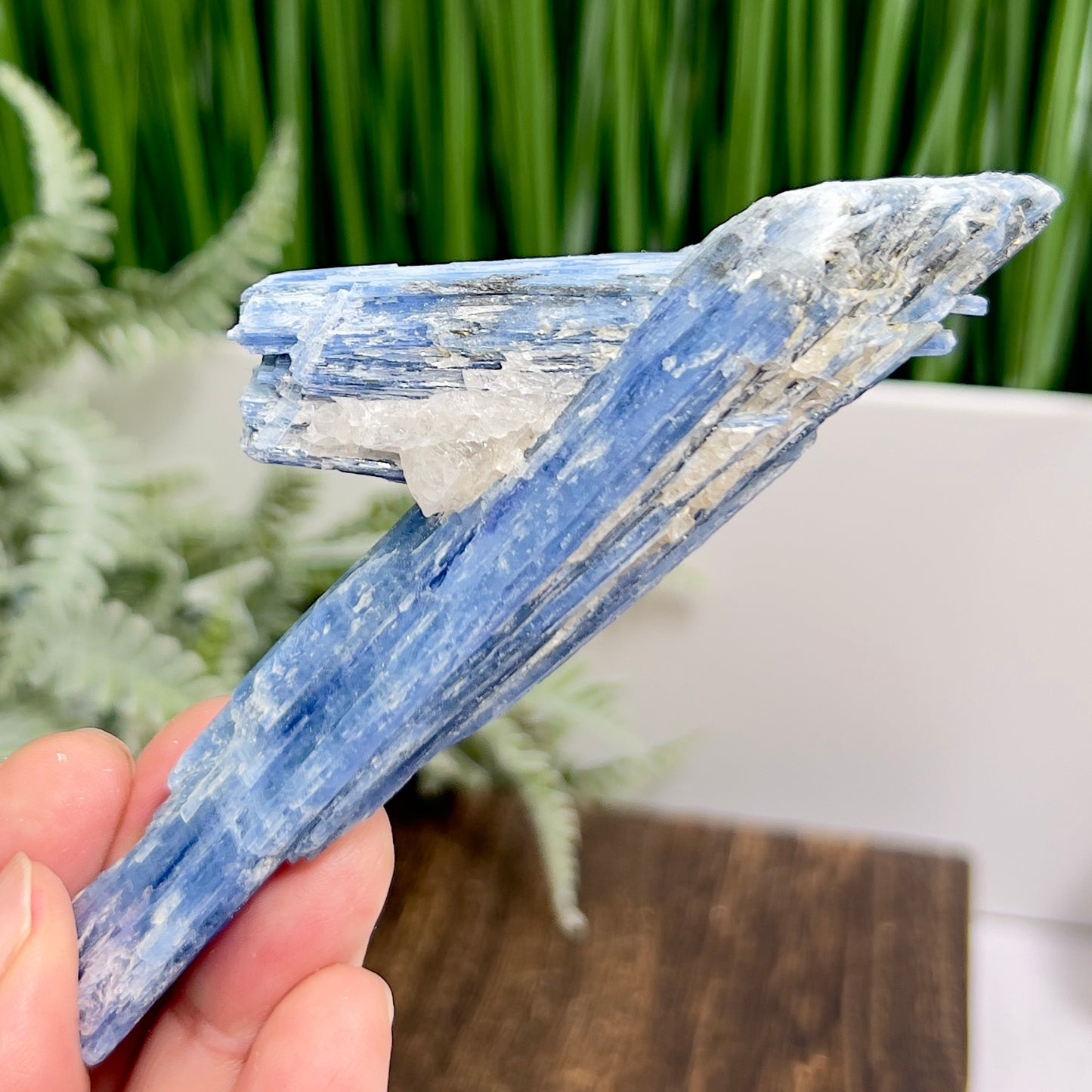 Blue Kyanite with Mica Natural High Quality Raw Specimen Healing Crystal 98g