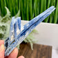 Blue Kyanite with Mica Natural High Quality Raw Specimen Healing Crystal 98g