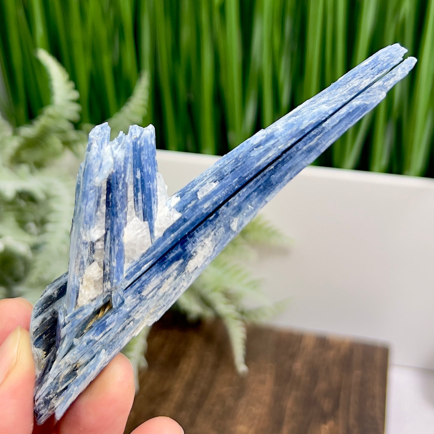 Blue Kyanite with Mica Natural High Quality Raw Specimen Healing Crystal 98g