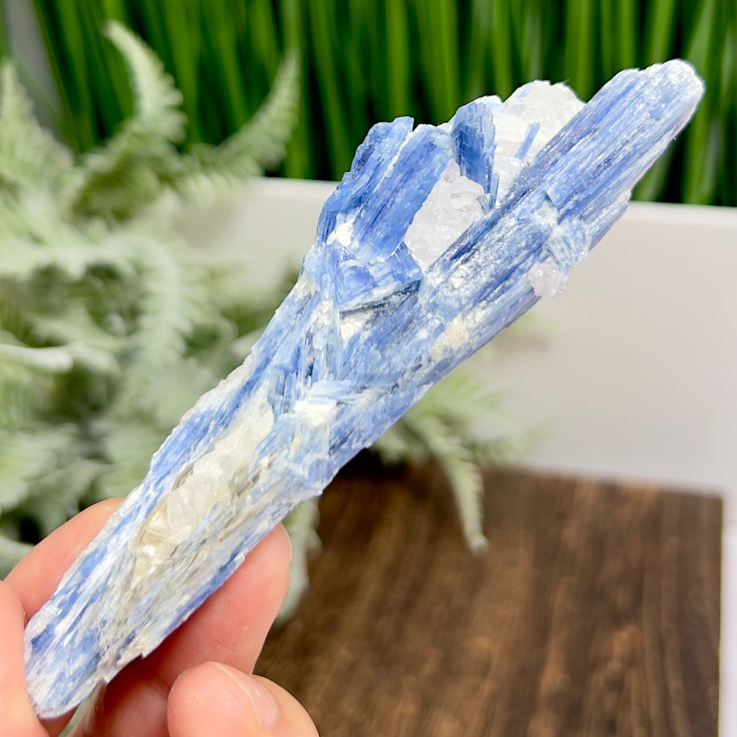 Blue Kyanite with Mica Natural High Quality Raw Specimen Healing Crystal 82g