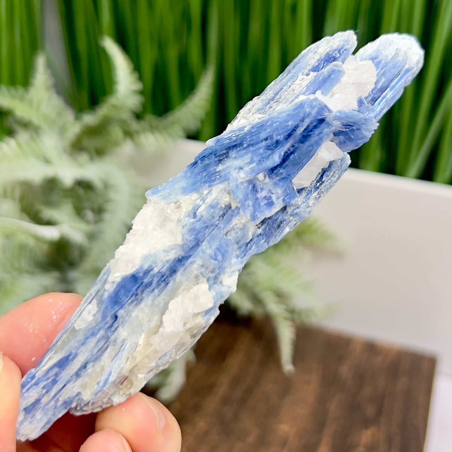 Blue Kyanite with Mica Natural High Quality Raw Specimen Healing Crystal 82g