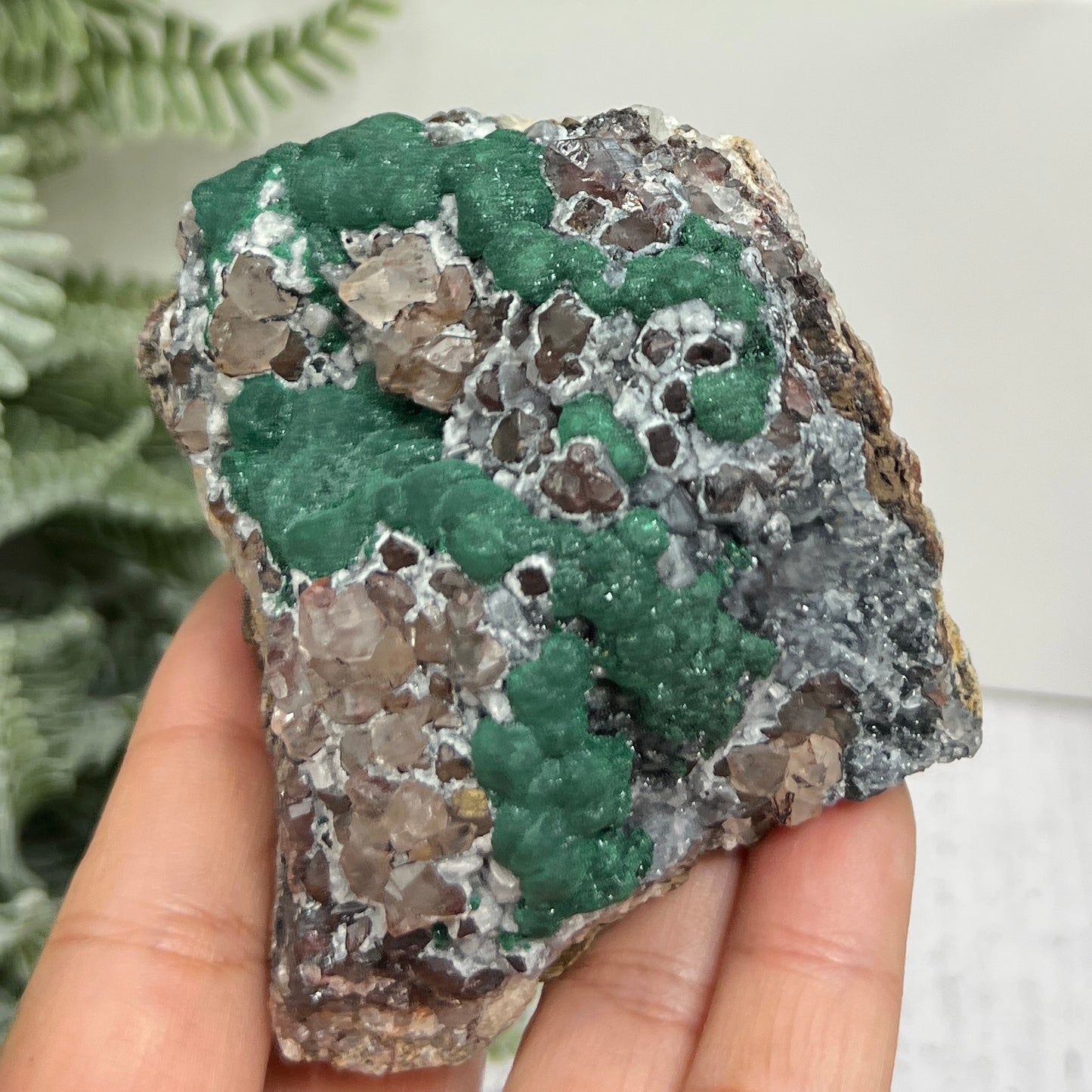 Malachite in Quartz Rock Matrix Raw Specimen Natural Crystal 223g