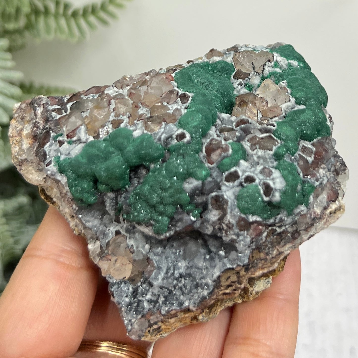 Malachite in Quartz Rock Matrix Raw Specimen Natural Crystal 223g