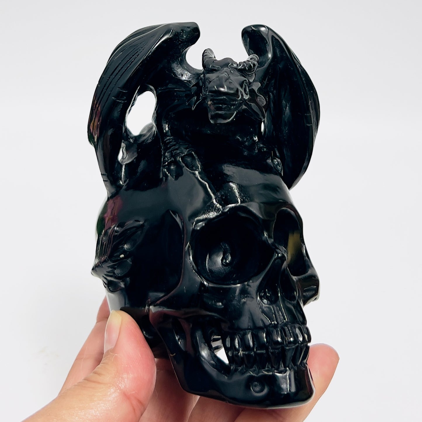 Black Obsidian Gargoyle Dragon on Skull Hollow Jaw Healing Crystal Carving 642g