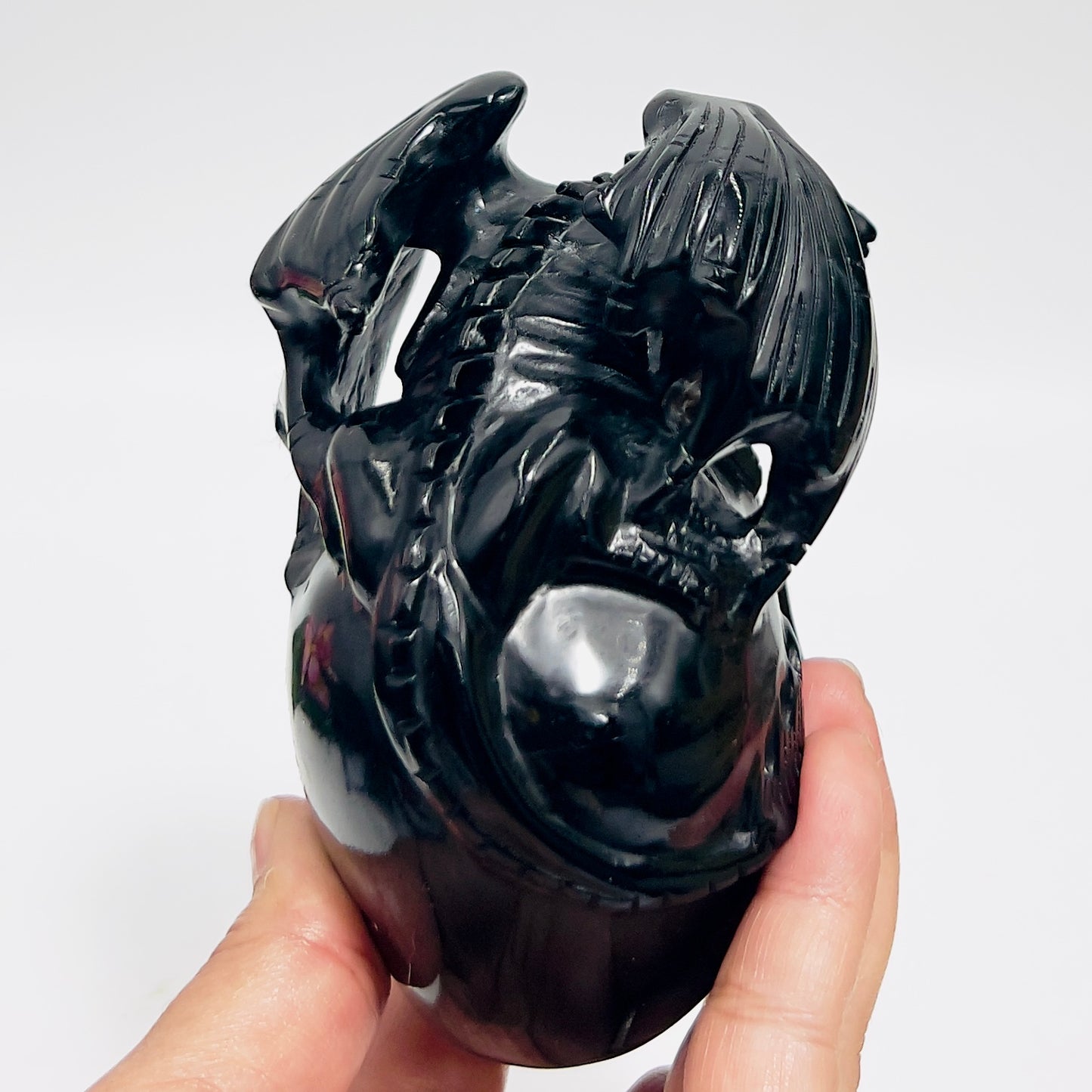 Black Obsidian Gargoyle Dragon on Skull Hollow Jaw Healing Crystal Carving 642g