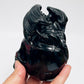 Black Obsidian Gargoyle Dragon on Skull Hollow Jaw Healing Crystal Carving 642g