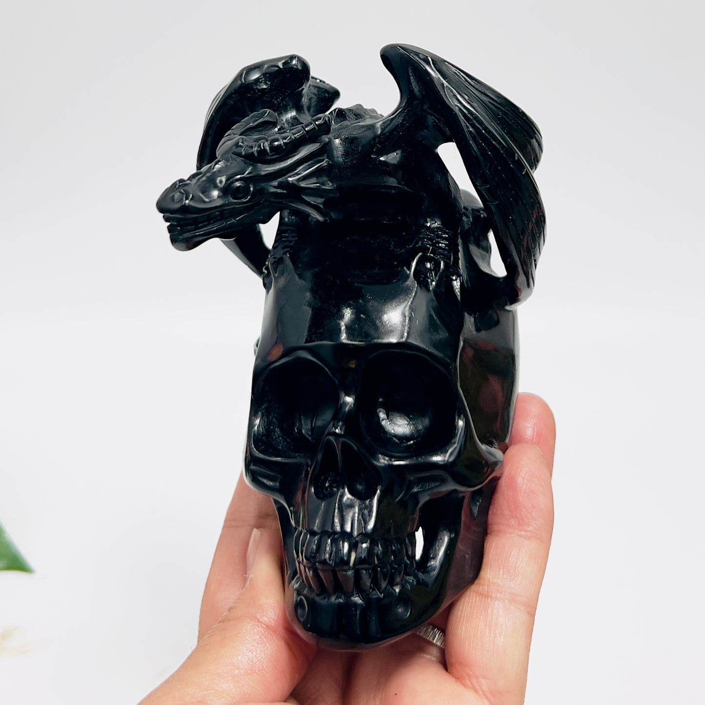 Black Obsidian Gargoyle Dragon on Skull Hollow Jaw Healing Crystal Carving 642g