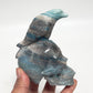 Trolleite Raven Bird on Skull Hollow Jaw Rare Healing Crystal Carving 521g