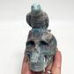 Trolleite Raven Bird on Skull Hollow Jaw Rare Healing Crystal Carving 521g