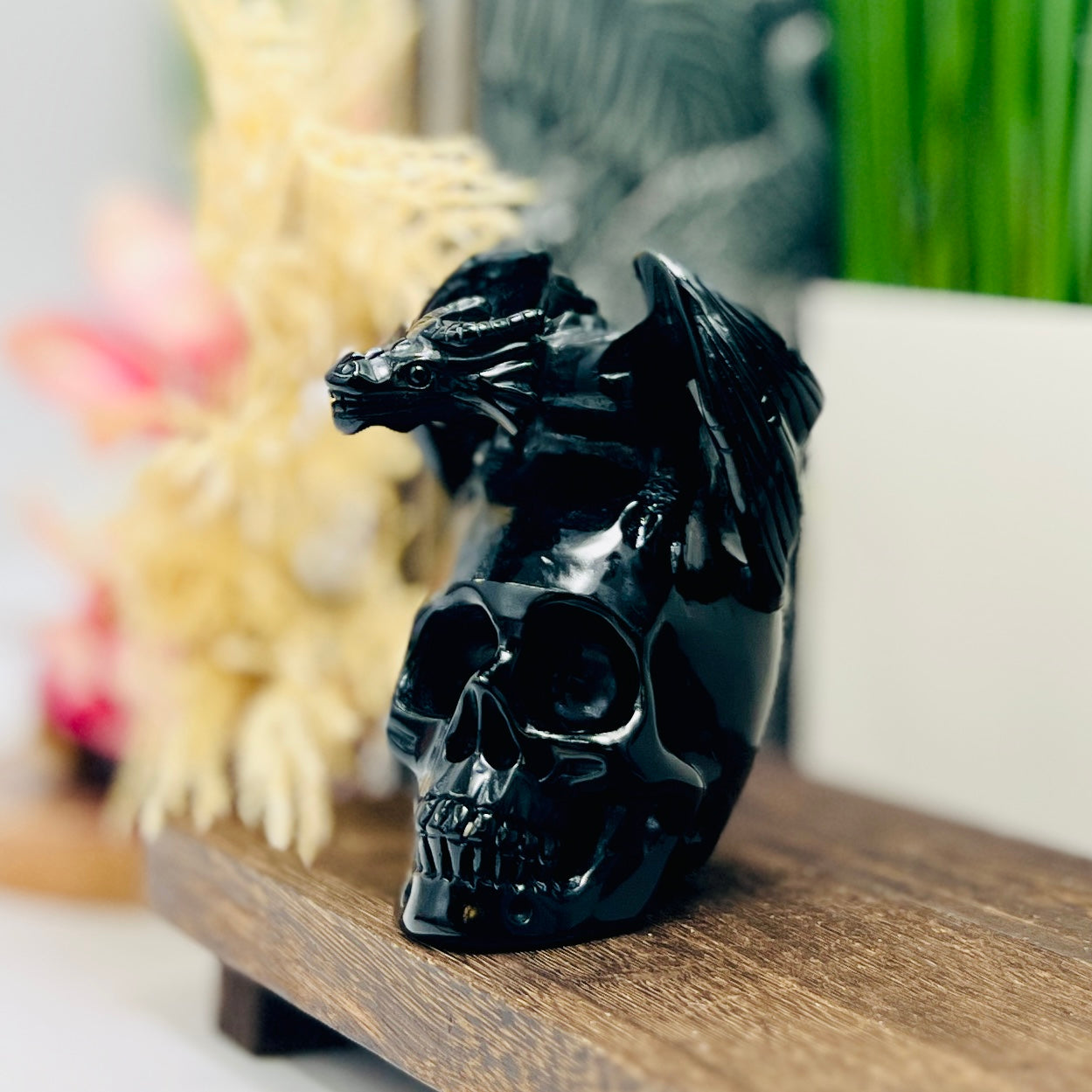 Black Obsidian Gargoyle Dragon on Skull Hollow Jaw Healing Crystal Carving 642g