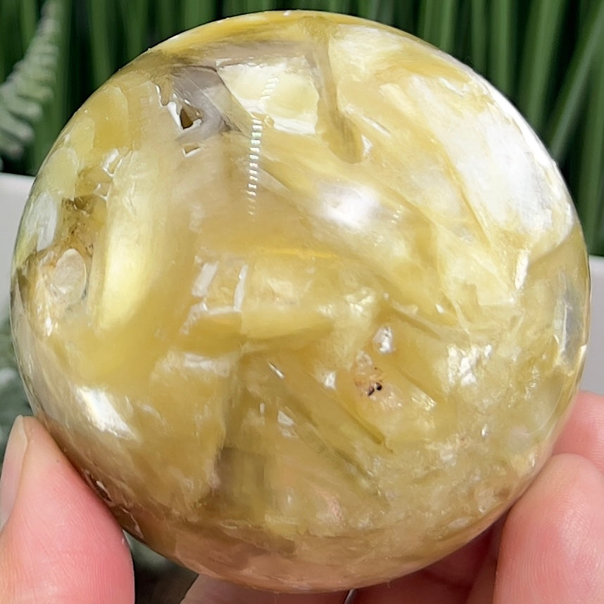 Golden Mica Sphere Shimmery Healing Crystal Ball 522g 71mm