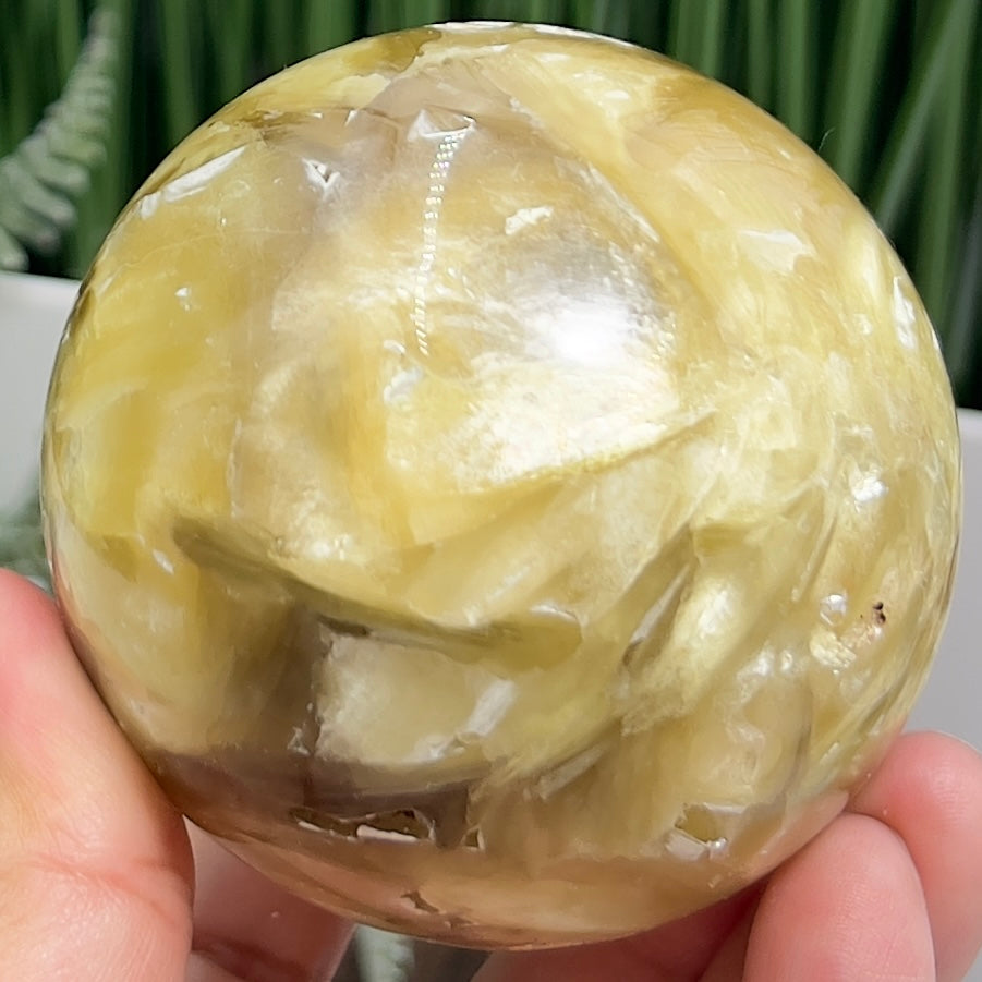 Golden Mica Sphere Shimmery Healing Crystal Ball 522g 71mm