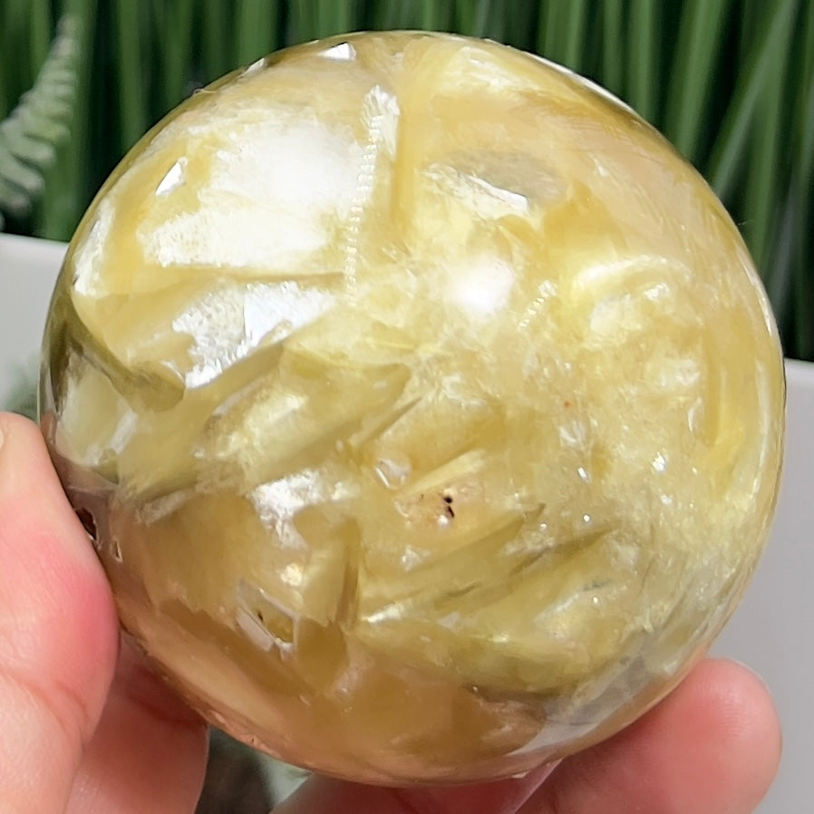 Golden Mica Sphere Shimmery Healing Crystal Ball 522g 71mm