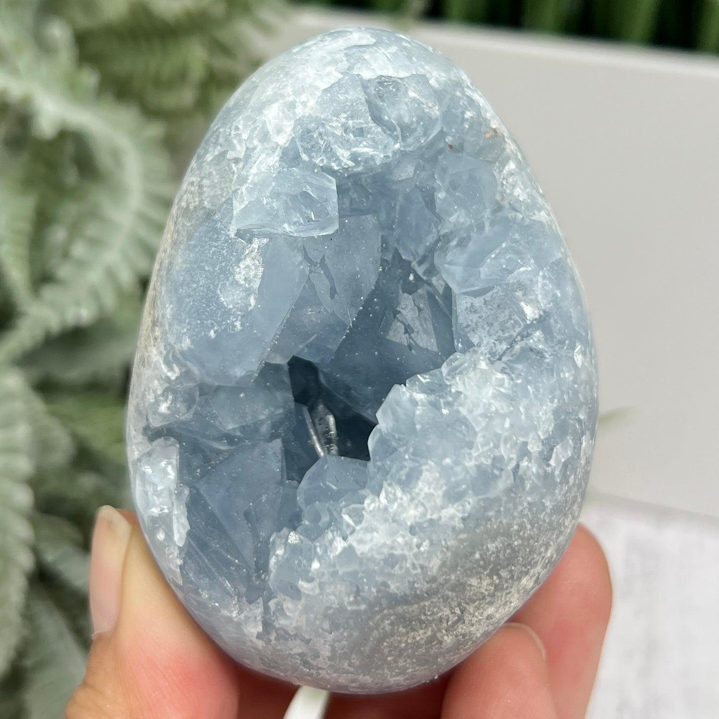 Celestite Celestine Egg with Stand Geode Cluster Crystal 401g