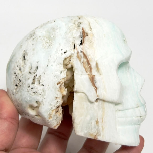 Caribbean Calcite Skull Healing Crystal Carving 938g