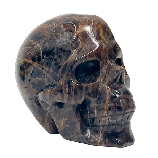 Black Moonstone Skull Healing Crystal Carving 734g