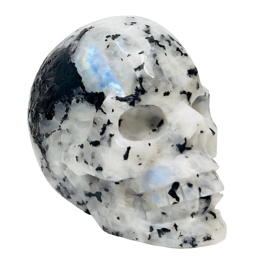 Rainbow Moonstone with Black Tourmaline Skull Healing Crystal Carving 809g