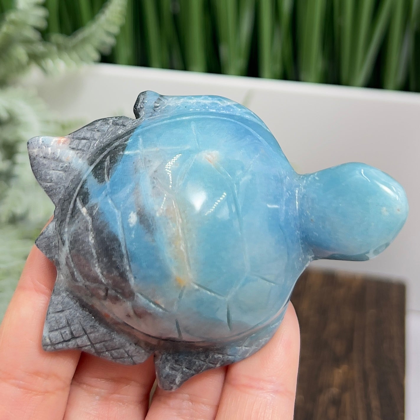 Trolleite Turtle Rare Healing Crystal Carving 128g