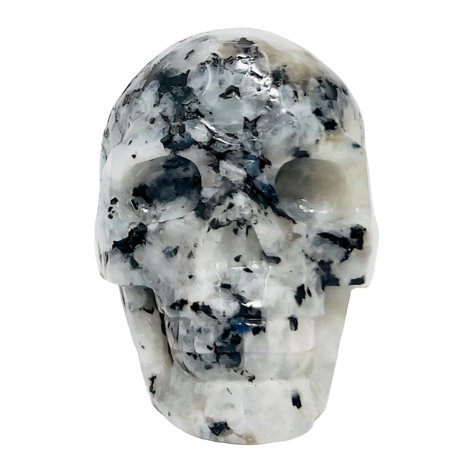 Rainbow Moonstone with Black Tourmaline Skull Healing Crystal Carving 1015g