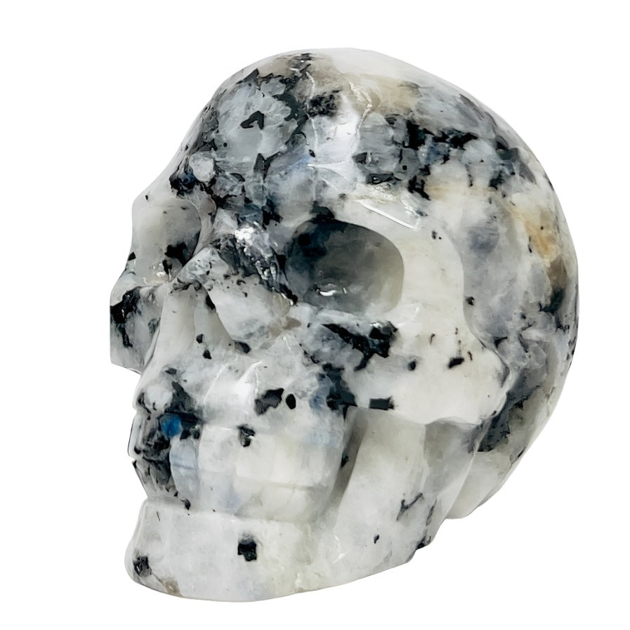 Rainbow Moonstone with Black Tourmaline Skull Healing Crystal Carving 1015g