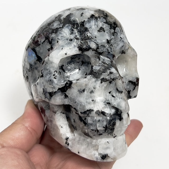 Rainbow Moonstone with Black Tourmaline Skull Healing Crystal Carving 1015g