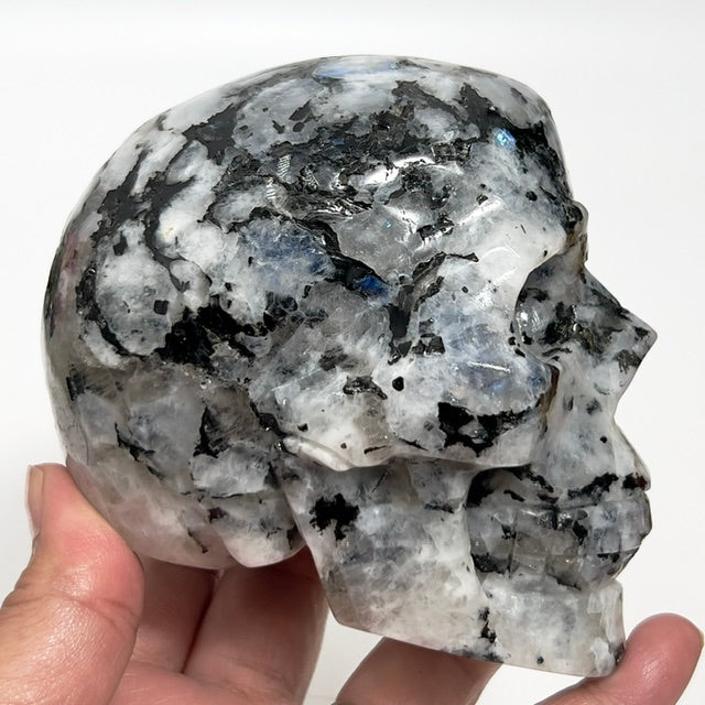 Rainbow Moonstone with Black Tourmaline Skull Healing Crystal Carving 1015g