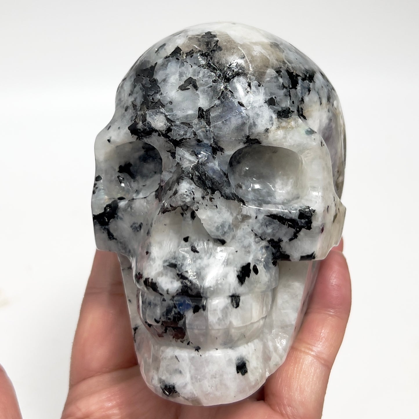 Rainbow Moonstone with Black Tourmaline Skull Healing Crystal Carving 1015g