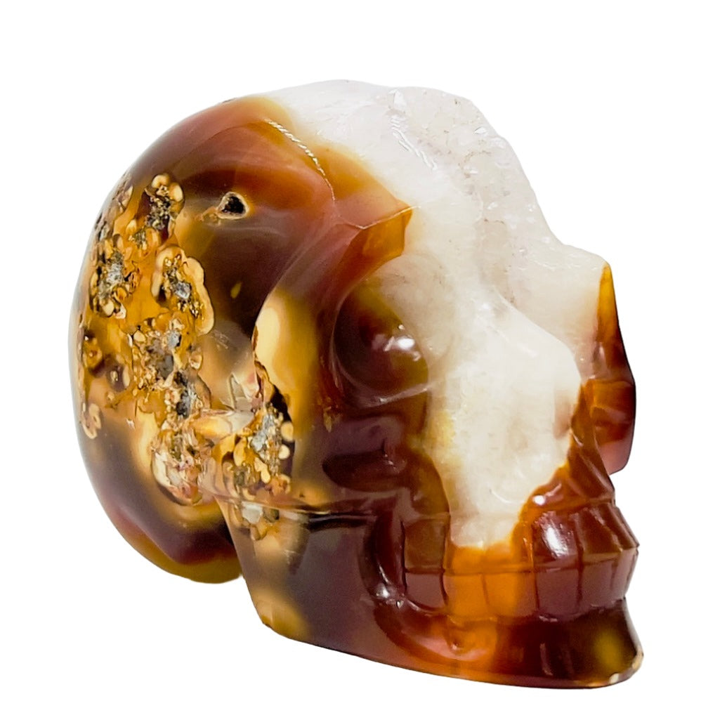 Carnelian Quartz Druzy Skull Healing Crystal Carving 873g