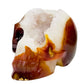 Carnelian Quartz Druzy Skull Healing Crystal Carving 873g