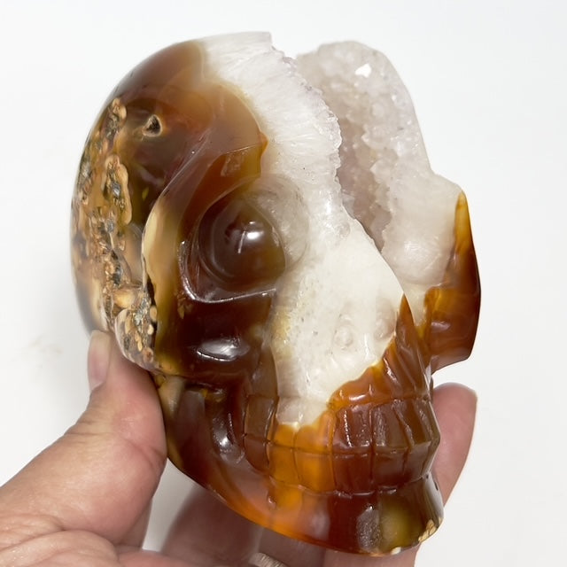 Carnelian Quartz Druzy Skull Healing Crystal Carving 873g