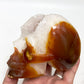 Carnelian Quartz Druzy Skull Healing Crystal Carving 873g