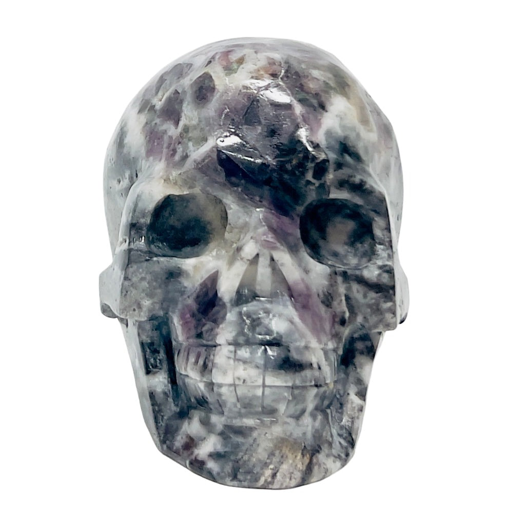 Zebra Stone Rock with Fluorite Skull Healing Crystal Skull Carving 985g